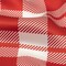 1 Yard Italian Red and White Plaid Silk Charmeuse for Dresses Tops 55 inch Width